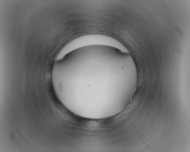 X0000113280176200910131013