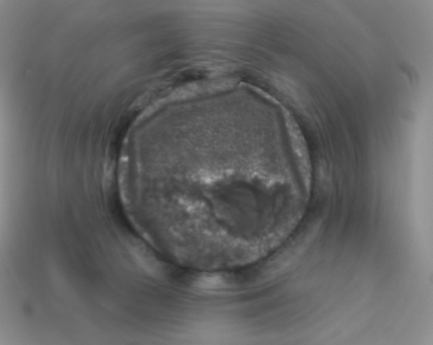 X0000113280177200910131013