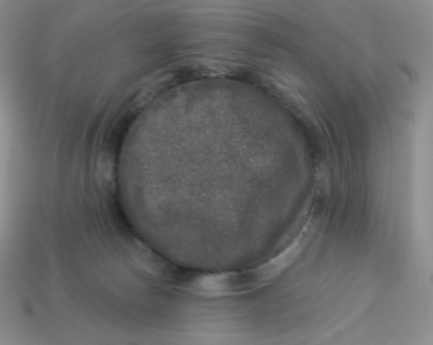 X0000113280178200910131013