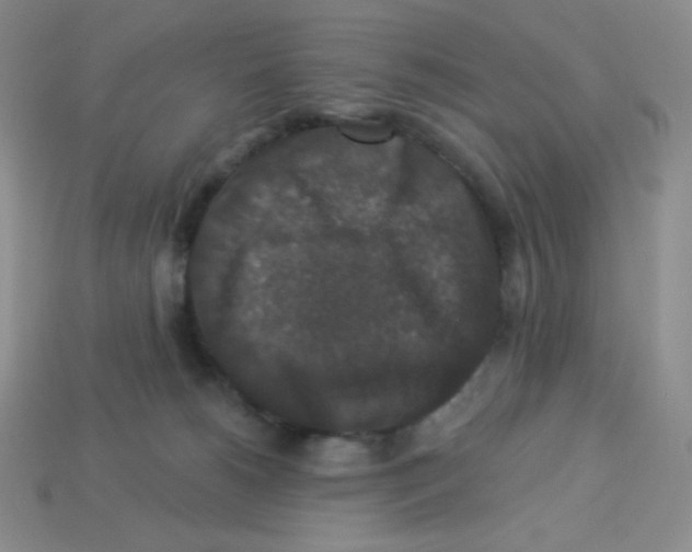 X0000113280180200910131013