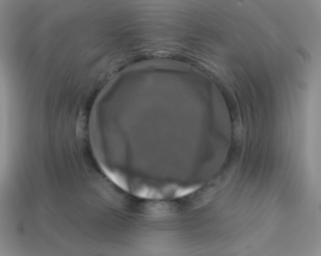 X0000113280181200910131013