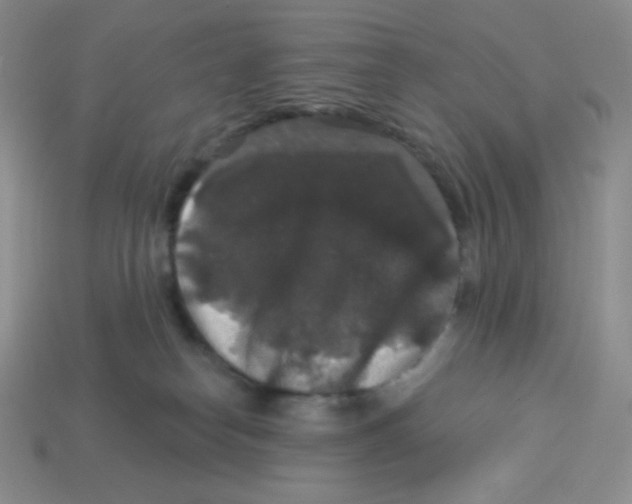 X0000113280182200910131013