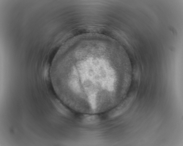 X0000113280185200910131013