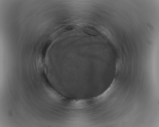 X0000113280186200910131013