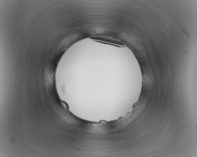 X0000113280188200910131013
