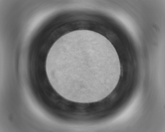 X0000113280190200910131013