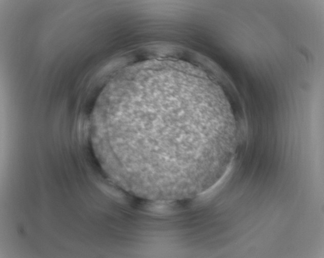 X0000113280191200910131013