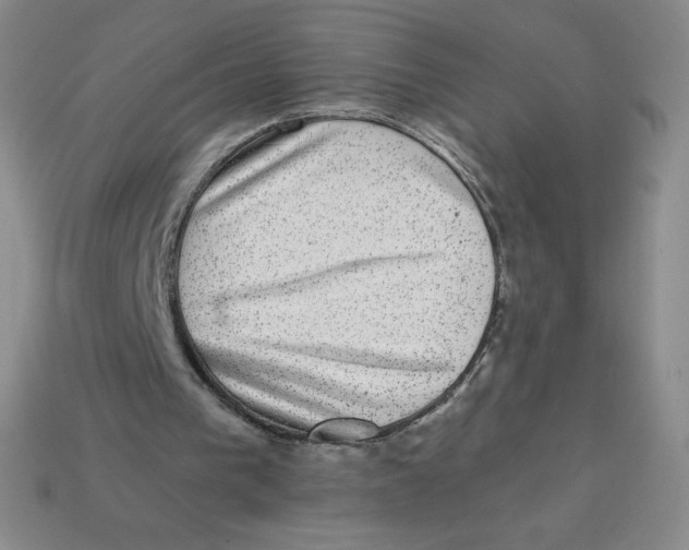 X0000113280193200910131012