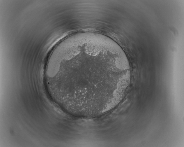 X0000113280194200910131012