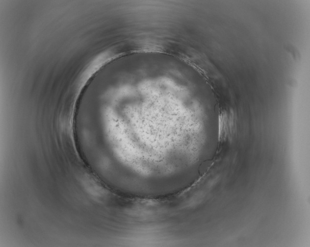 X0000113280195200910131012