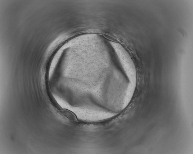 X0000113280197200910131012