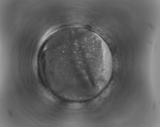 X0000113280198200910131012