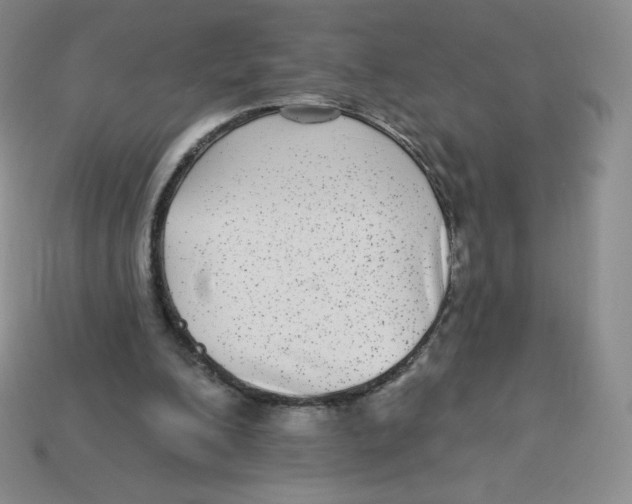 X0000113280200200910131012