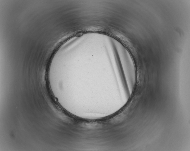 X0000113280201200910131012