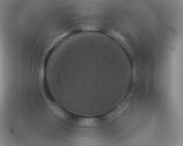 X0000113280202200910131012