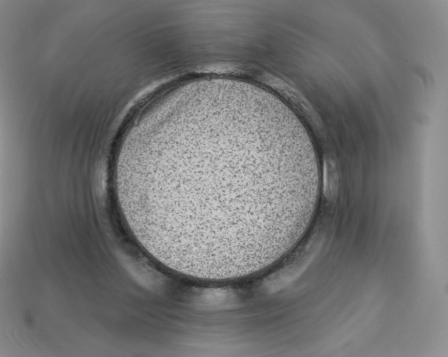X0000113280204200910131012