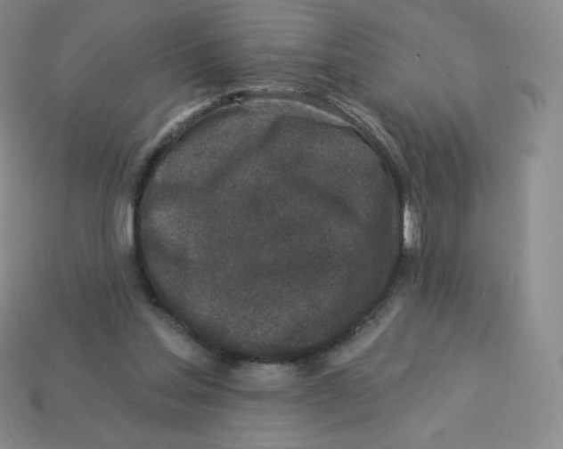 X0000113280205200910131012