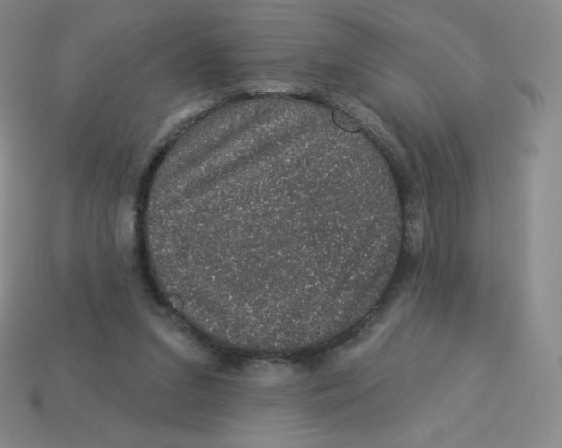 X0000113280207200910131012