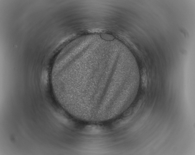 X0000113280211200910131012