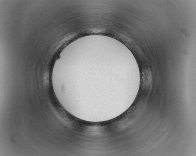X0000113280212200910131012