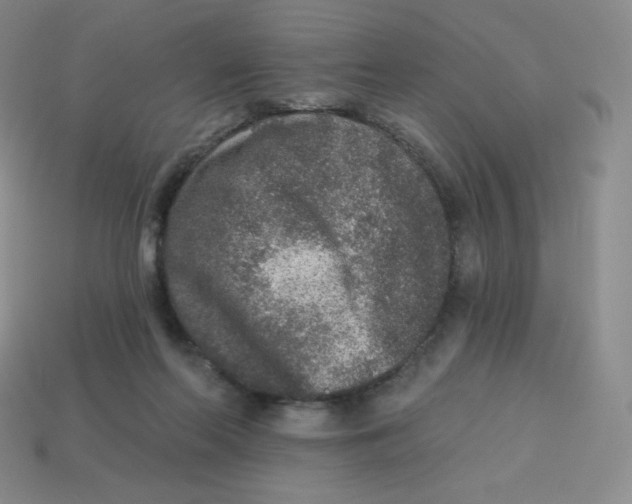 X0000113280214200910131012