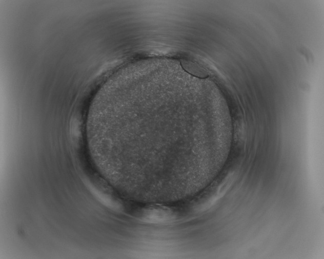 X0000113280215200910131012