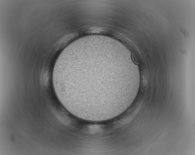 X0000113280216200910131012