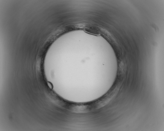 X0000113280217200910131012
