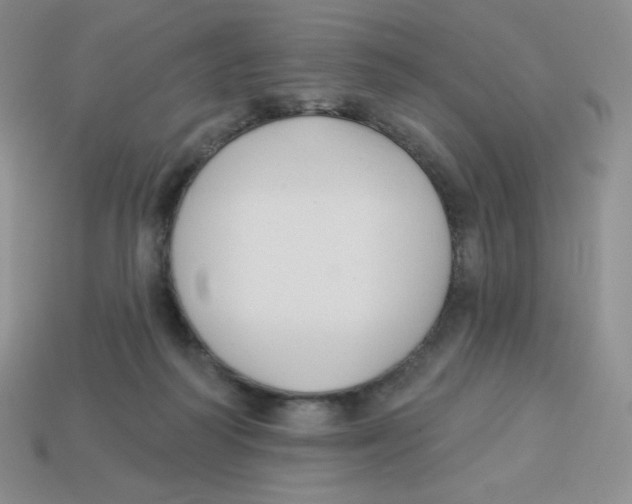 X0000113280218200910131012