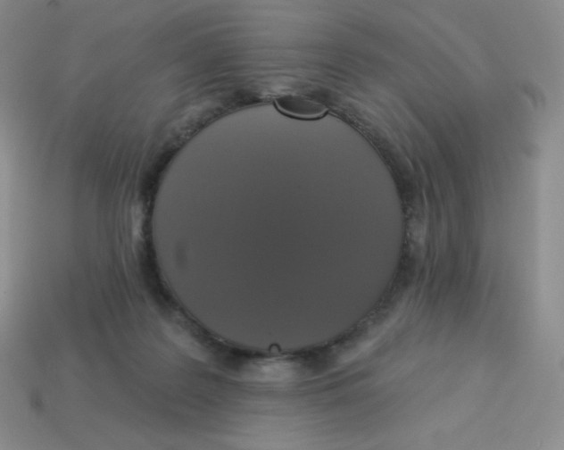 X0000113280219200910131012