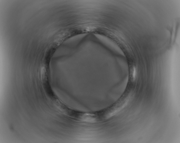 X0000113280222200910131012