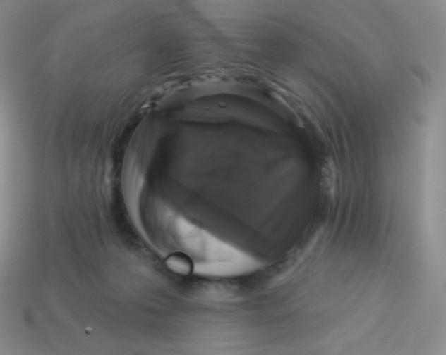 X0000113280223200910131012