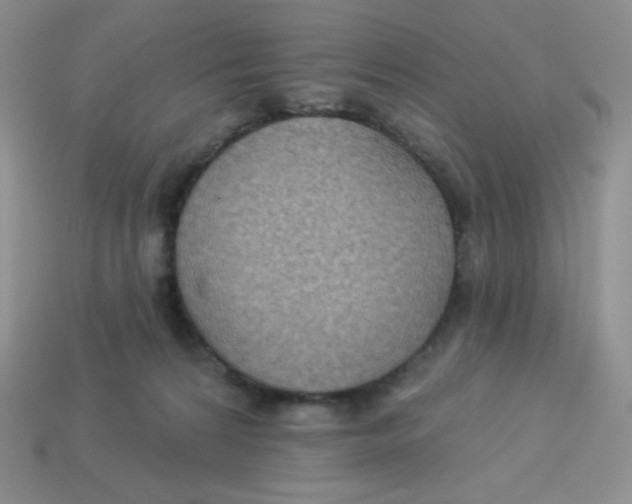 X0000113280224200910131012