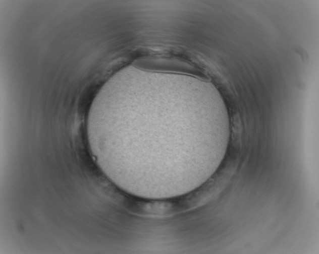 X0000113280225200910131012