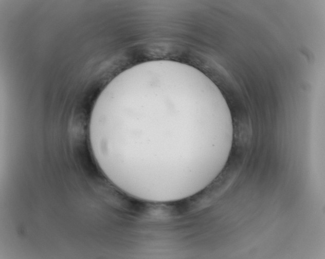 X0000113280226200910131012
