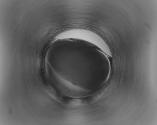 X0000113280227200910131012
