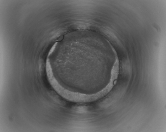 X0000113280228200910131012