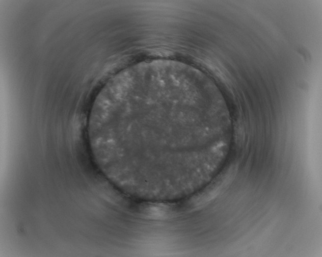 X0000113280229200910131012