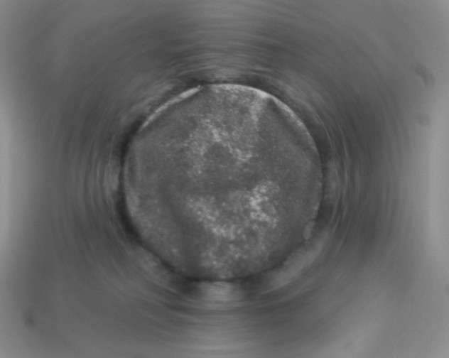 X0000113280230200910131012