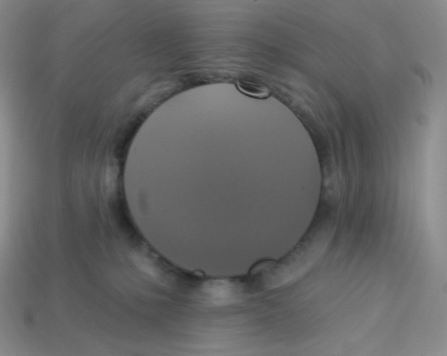 X0000113280231200910131012