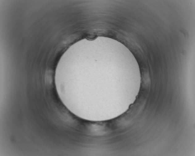 X0000113280232200910131012