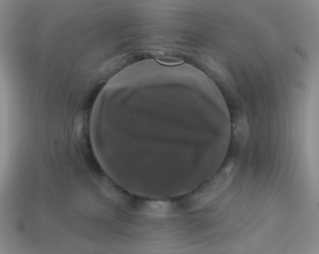 X0000113280233200910131012