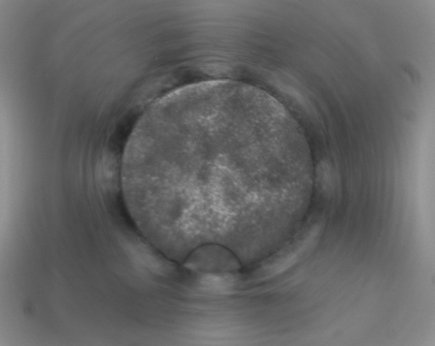 X0000113280234200910131012
