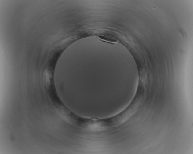 X0000113280235200910131012