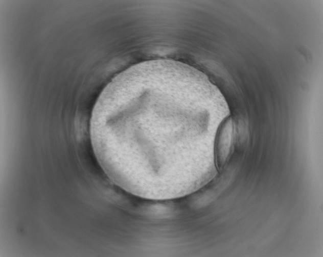 X0000113280236200910131012