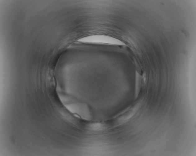 X0000113280237200910131012