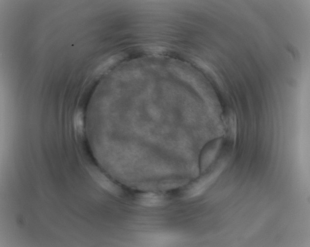 X0000113280238200910131012