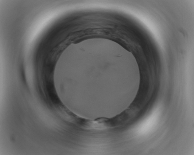 X0000113280239200910131012