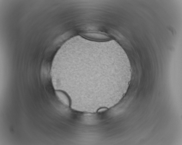 X0000113280240200910131012