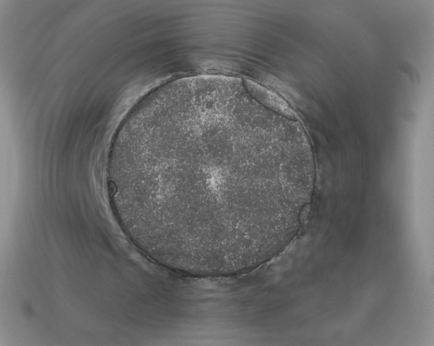 X0000113280241200910131011